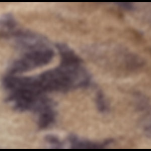 TIEDYE CAMEL/MIRTILL