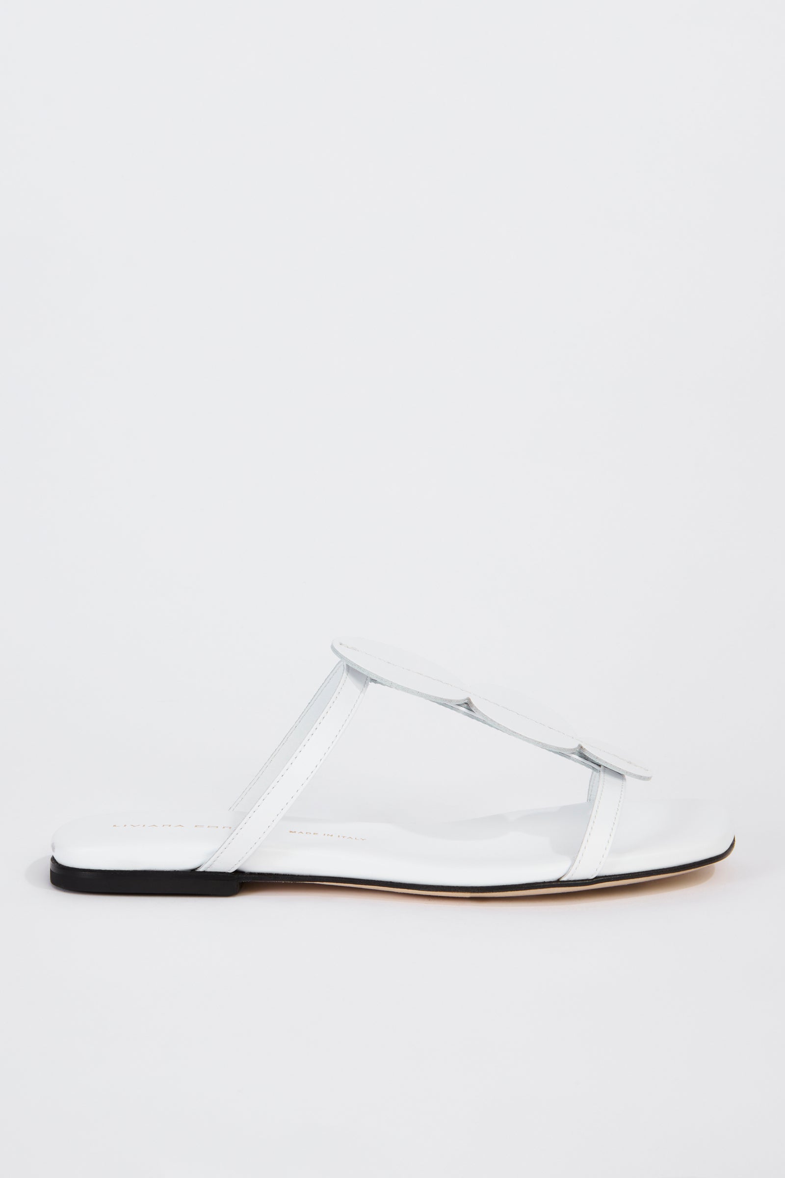 MULES FLAT DOTS