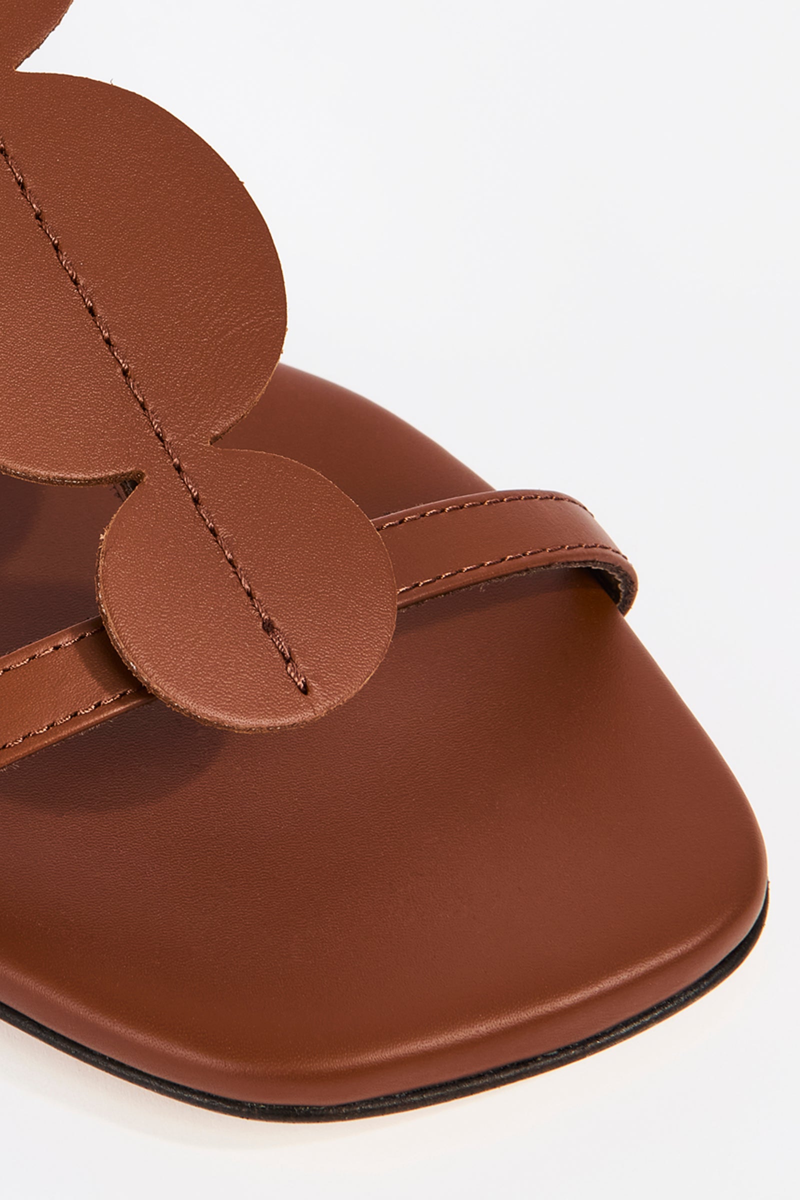 MULES FLAT DOTS