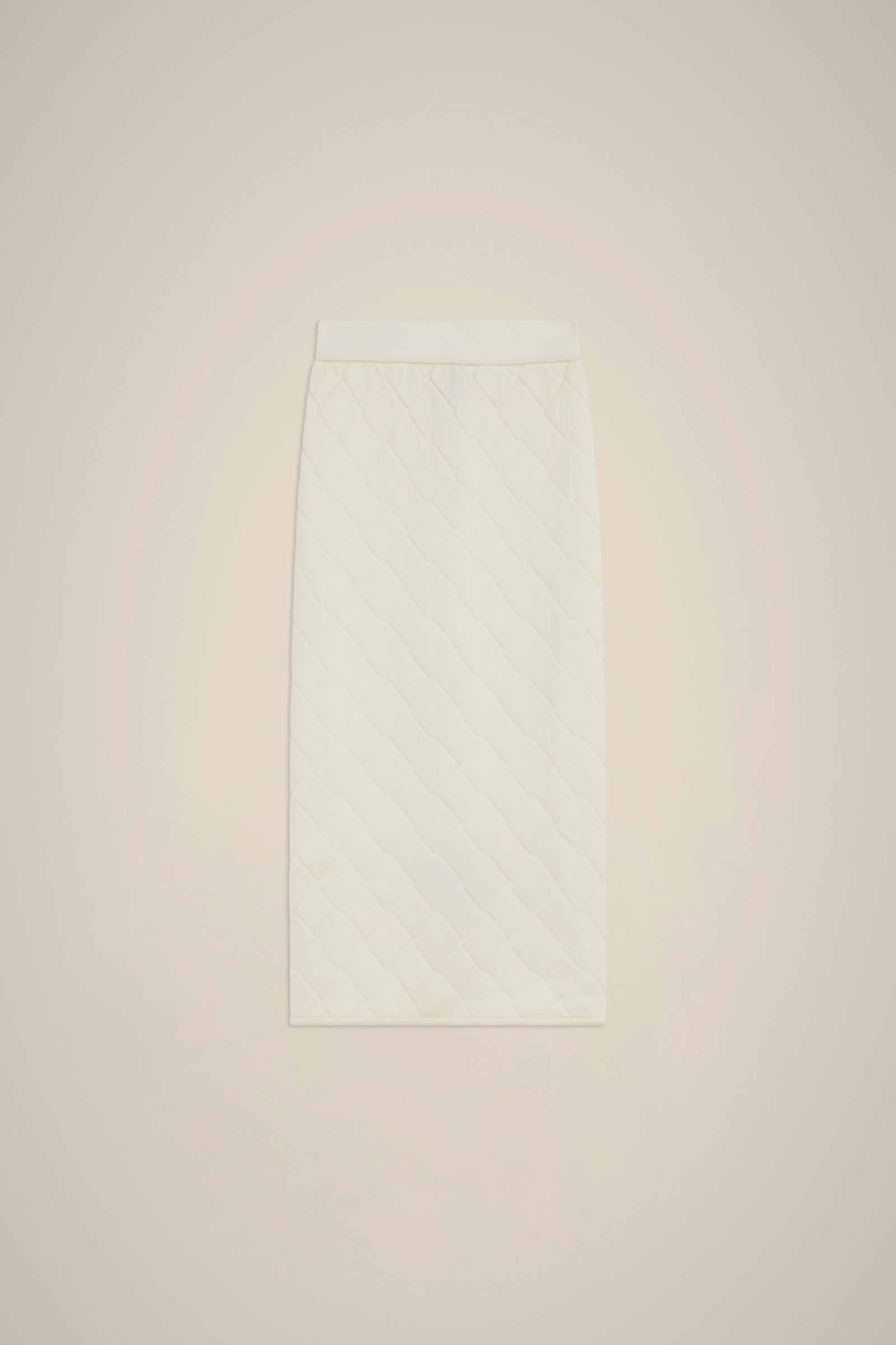 EMBOSSED JACQUARD SKIRT